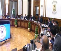 «مدبولي» يناقش استعدادات مصر للمشاركة في اجتماعات مجموعة العشرين بالهند