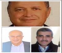 الاتحاد العام للمصريين في الخارج يعلن تدشين فرع لبنان