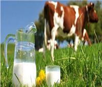 هل الحليب البقري ضار بالصحة؟ أخصائية تغذية تجيب