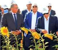 الريف المصري يطلق مبادرة لتشجيع زراعة الذرة الشامية ودوار الشمس والسمسم 