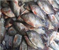 استقرار أسعار الأسماك في سوق العبور الخميس 19 يناير 