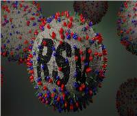 استشاري: الفيروس المخلوي يخدع جهاز المناعة| فيديو