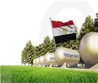 الوزراء: مصر الأولى عربيا في مشروعات إنتاج الهيدروجين الأخضر