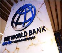 البنك الدولي: مصر من كبرى الدول المالكة لـ«المناطق الصناعية» بمنطقتها