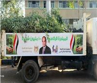 توزيع 28 ألف شجرة على الشوارع والمدارس والجامعات بالقاهرة  