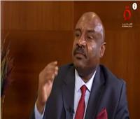 رئيس الجبهة الثورية: مصر دعت للحوار بين أبناء السودان