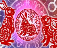 السنة القمرية الجديدة.. ماذا يعني «عام الأرنب» في الثقافة الصينية؟