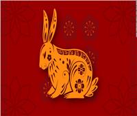 تتوقعه الأرانب.. رأس السنة الصينية بـ«مسميات حيوانية»