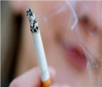 شعبة الدخان تكشف حقيقة ارتفاع أسعار السجائر والمعسل
