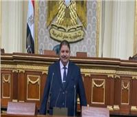 برلماني: لقاء الرئيس الشركات الهندية العملاقة مكسب حقيقي للاقتصاد المصري‎‎
