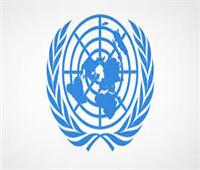 الأمم المتحدة تبدي القلق بشأن استمرار العنف في الضفة الغربية المحتلة