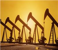 «النواب الأمريكي» يضع قيودا على استخدام بايدن للاحتياطي النفطي