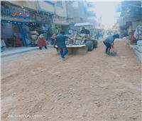  رصف ورفع كفاءة «10» شوارع بالعجمي بالإسكندرية   