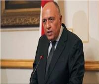 وزير الخارجية: عقد لجنة اقتصادية «مصرية - أمريكية» العام الجاري