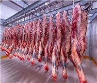 استقرار أسعار اللحوم الحمراء في الأسواق الثلاثاء 31 يناير