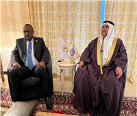رئيسا البرلمان العربي وإفريقيا يبحثان مجالات التعاون لمواجهة التحديات المشتركة