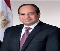 الرئيس السيسي يستقبل وزير الدفاع الوطني بالجمهورية الإسلامية الموريتانية