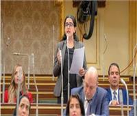 خارجية النواب: إشادة واشنطن بجهود لجنة العفو الرئاسي تبرز نجاح مصر في الملف الحقوقي