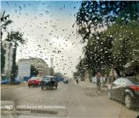 أمطار خفيفة على محافظة الجيزة