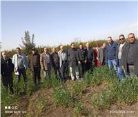 الزراعة: حملات لمتابعة المحاصيل الشتوية في محافظتي الغربية وكفر الشيخ