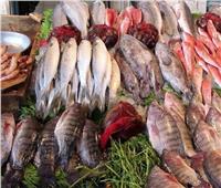 استقرار أسعار الأسماك في سوق العبور السبت 4 فبراير