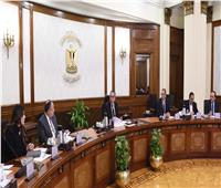 رئيس الوزراء يتابع جهود توطين صناعة التليفون المحمول في مصر