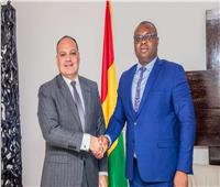 السفير المصري في كوناكري يلتقي رئيس وزراء غينيا 
