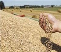 التموين: أي تجاذب بين الصين وأمريكا يؤثر على معروض الحبوب وسلاسل الإمداد