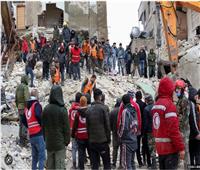 وزير الدفاع التركي: إقامة مخيمات لإيواء المتضررين من الزلزال والحيوانات الأليفة