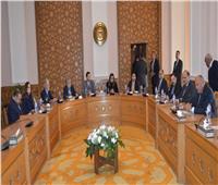 وزير الخارجية يلتقي سفراء دول أمريكا اللاتينية المعتمدين في مصر