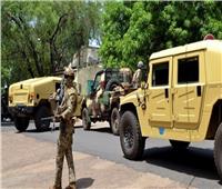 الجيش المالي: القضاء على 82 إرهابيا والقبض على 35 آخرين