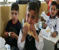 بعد تصريحات السيسي.. برلمانية تطالب بزيادة عناصر التغذية المدرسية‎‎