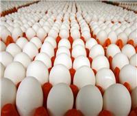 استقرار أسعار البيض في الأسواق الأحد 12 فبراير 