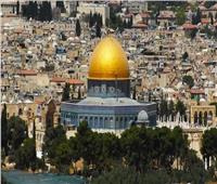 أبو الغيط: القدس حاضرة في وجدان العرب وتواجه قمع الاحتلال ومحاولات طمس التاريخ