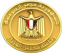«معلومات الوزراء» يعد وثيقة للرد على أبرز القضايا المثارة بشأن ارتفاع الأسعار في مصر