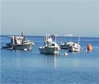 المركزي للإحصاء : 5 ملايين عامل في مجال الأسماك والزراعة 