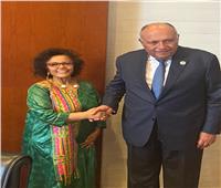 وزير الخارجية يلتقي مع المديرة التنفيذية لوكالة الاتحاد الإفريقي للتنمية - النيباد 