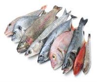 ننشر أسعار الأسماك في سوق العبور اليوم.. البلطي يصل لـ 53 جنيهًا