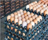 أسعار البيض في الأسواق اليوم السبت 