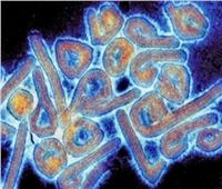 الصحة تعلن قواعد تتبع المخالطين لفيروس «ماربورج» وشروط عزلهم |خاص 