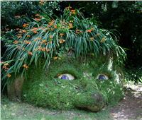 «حدائق هيليجان المفقودة».. كنز كورنوال السري| صور