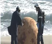 كرة حديدية على شاطئ البحر تثير الذعر في اليابان 