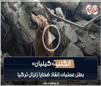 «الكلب كيليان».. بطل عمليات إنقاذ ضحايا زلزال تركيا | فيديو 