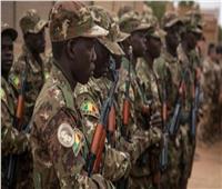 قوات مالي تعلن تحييد 37 إرهابيا وتوقيف آخرين