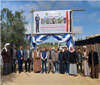 رئيس «بحوث الصحراء»: نواصل تقديم الدعم الفني لمزارعي سيناء