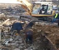 قوات الإنقاذ التركية تُخرج حصان بعد 21 يوم من الزلزال المدمر .. فيديو