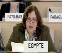 وفد مصر بالأممم المتحدة: انضمام مصرية للجنة حقوق الإنسان امتداد لإسهامات المصريين
