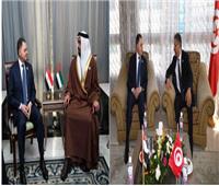 وزير الداخلية خلال لقائه بنظرائه العرب: حريصون على تعزيز تبادل الخبرات |صور 