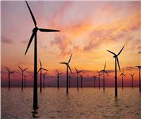 الطاقة المتجددة: ارتفاع ربحية الهيئة لأكثر من 300 مليون جنيه في 2022