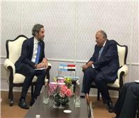 «شكري» يلتقي وزير خارجية الأرجنتين على هامش اجتماعات مجموعة العشرين